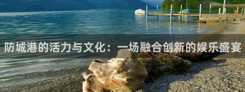 bg大游app
