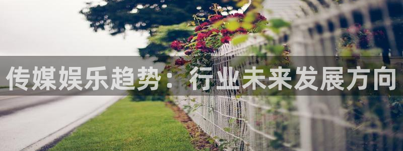 bg大游官网