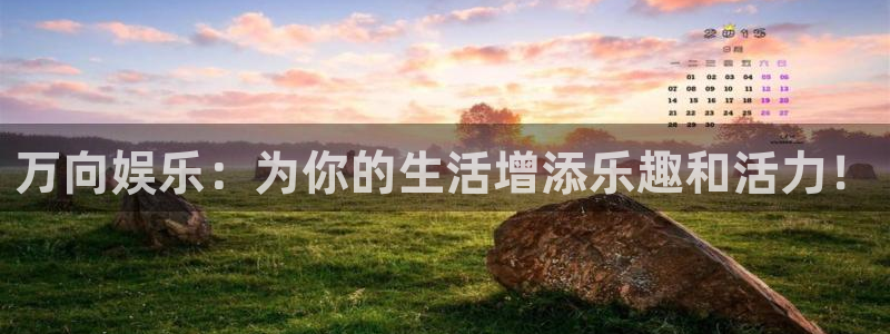 bg大游集团