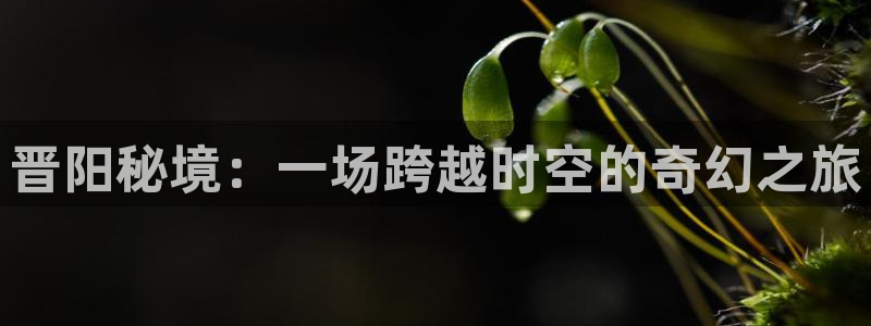 bg大游
