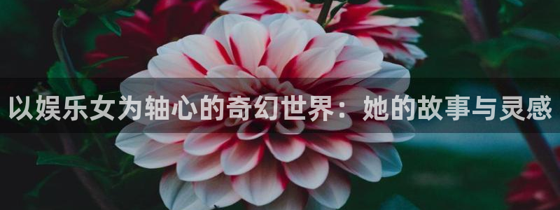 bg大游娱乐官网