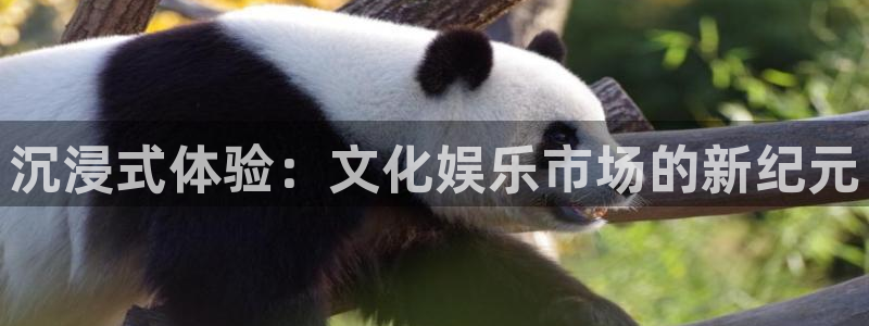 bg大游平台