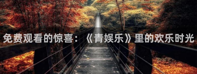 bg大游官网