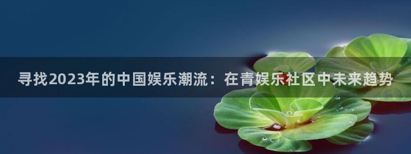 bg大游app